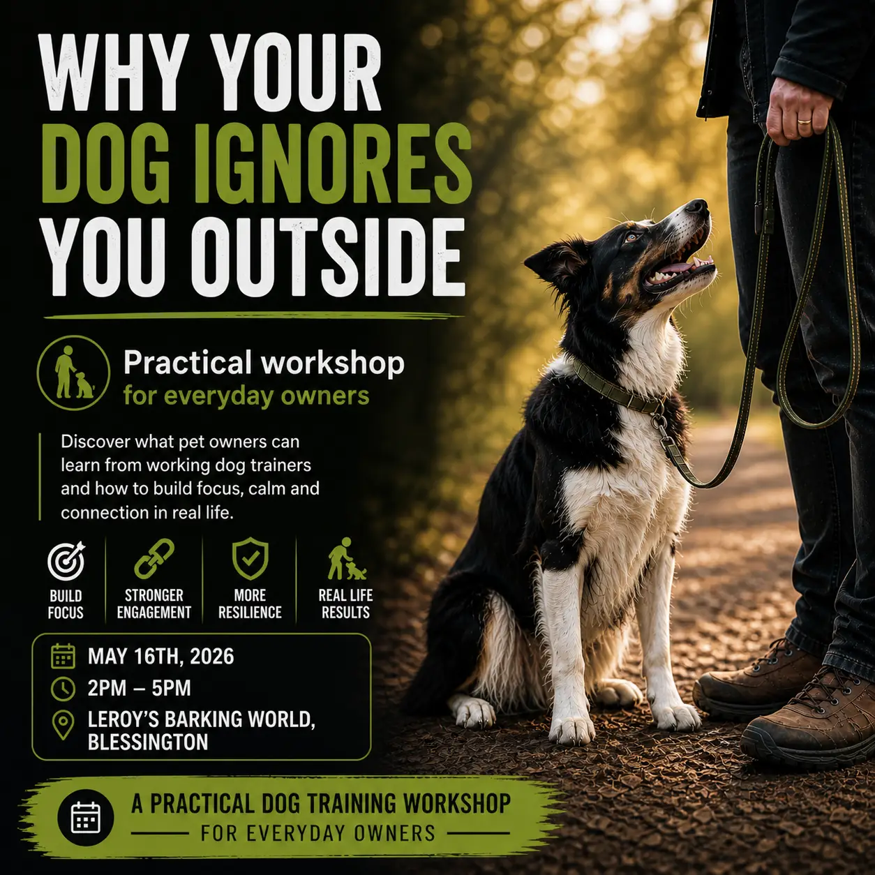 Dog training workshop Blessington